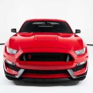 New 2019 FORD MUSTANG SHELBY GT350R For Sale
