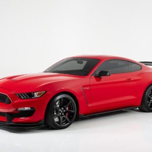 New 2019 FORD MUSTANG SHELBY GT350R For Sale