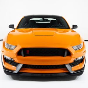 New 2020 FORD MUSTANG SHELBY GT350R For Sale
