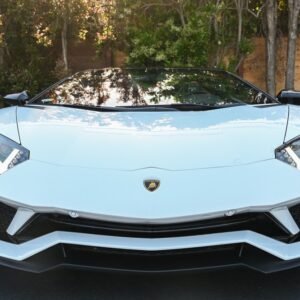 Used 2019 Lamborghini Aventador S Roadster For Sale