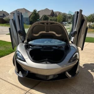 Used 2019 McLaren 570S Spider For Sale