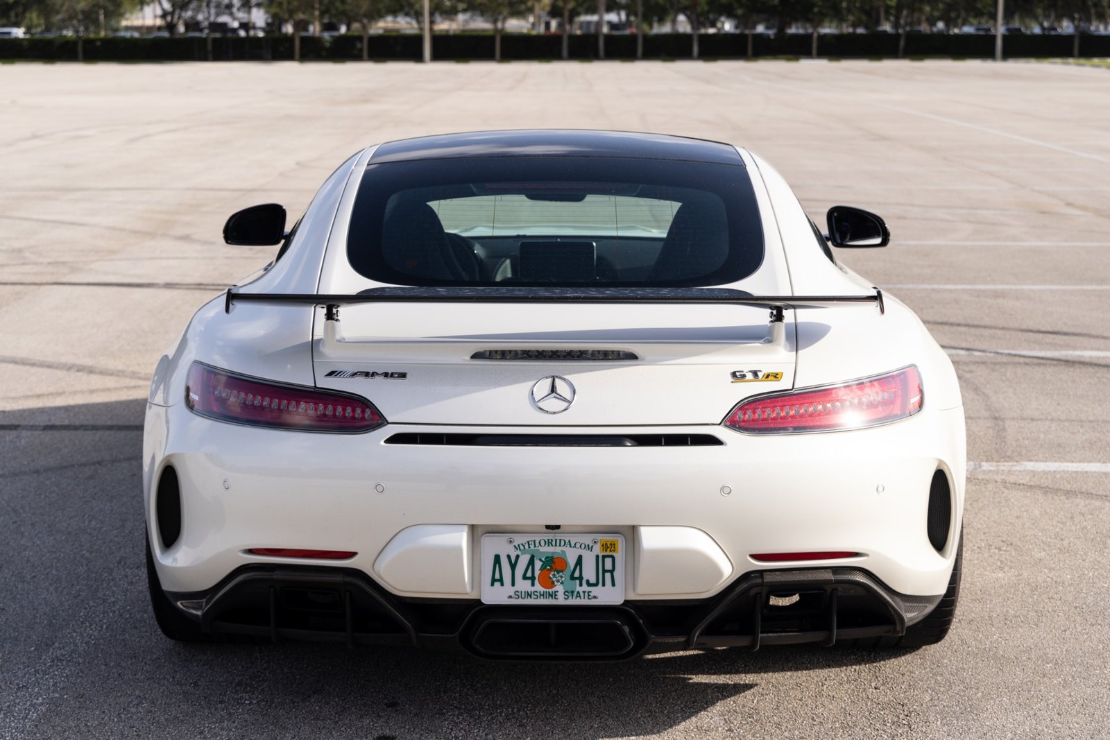 Used 2018 Mercedes-Benz AMG GT For Sale (10)