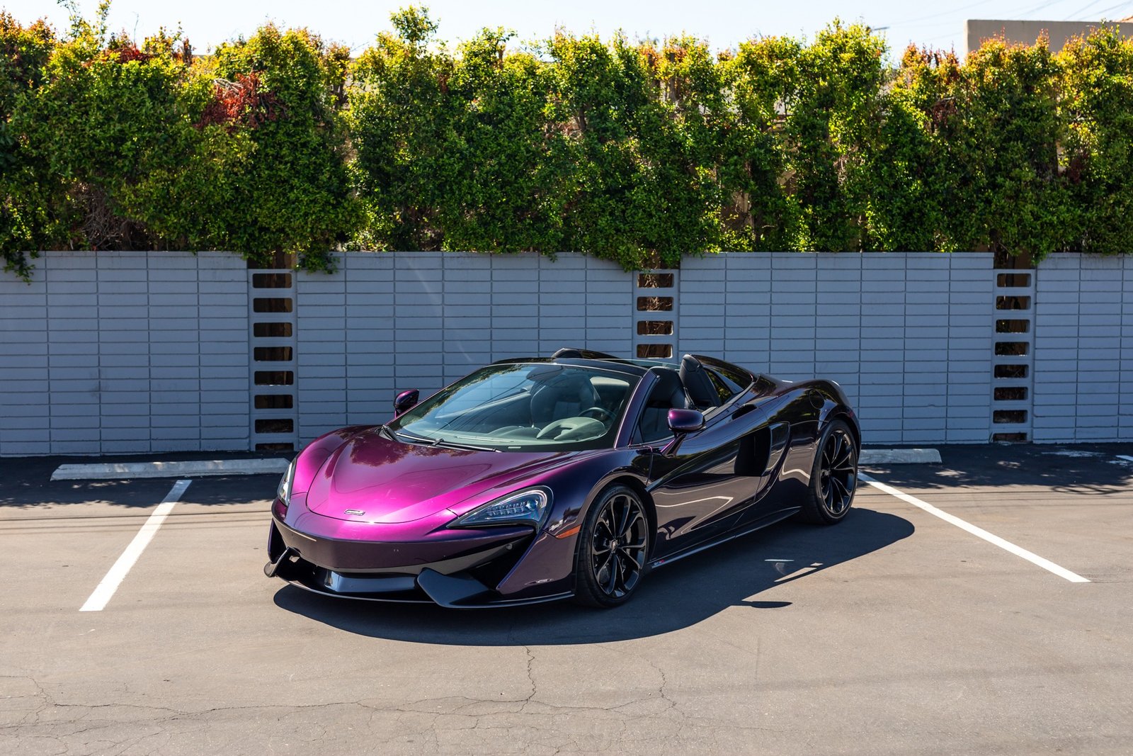 Used 2019 McLaren 570S Spider For Sale (16)
