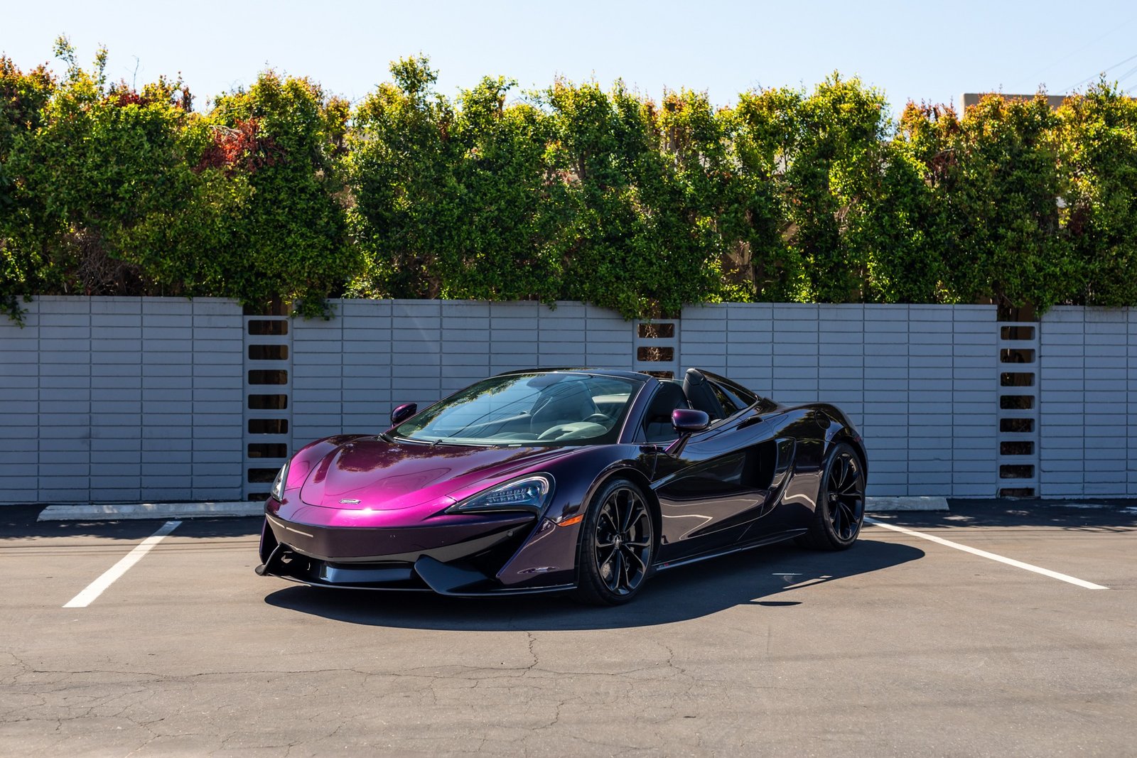 Used 2019 McLaren 570S Spider For Sale (18)