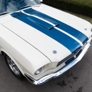 1965 Shelby GT350 Fastback For Sale