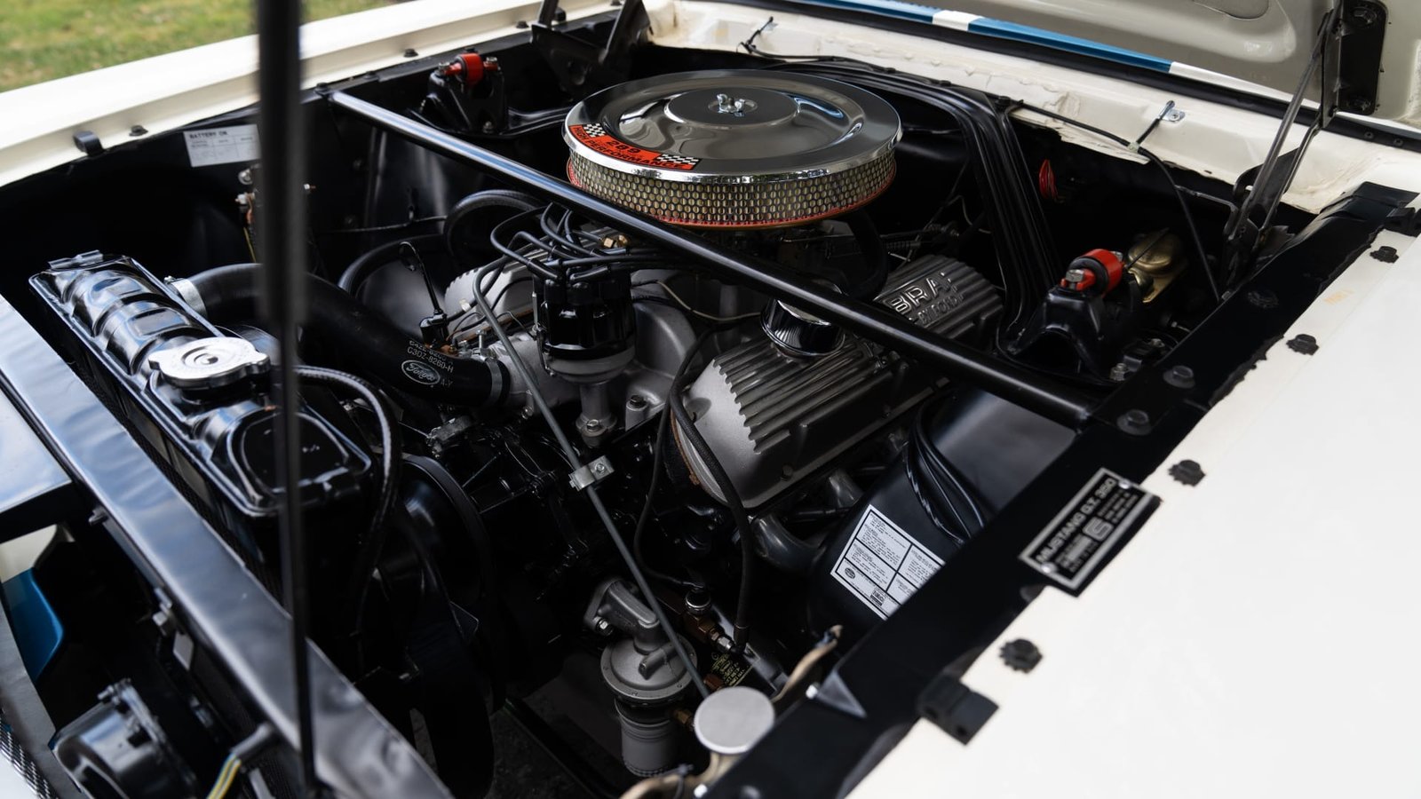 1965 Shelby GT350 Fastback For Sale (38)