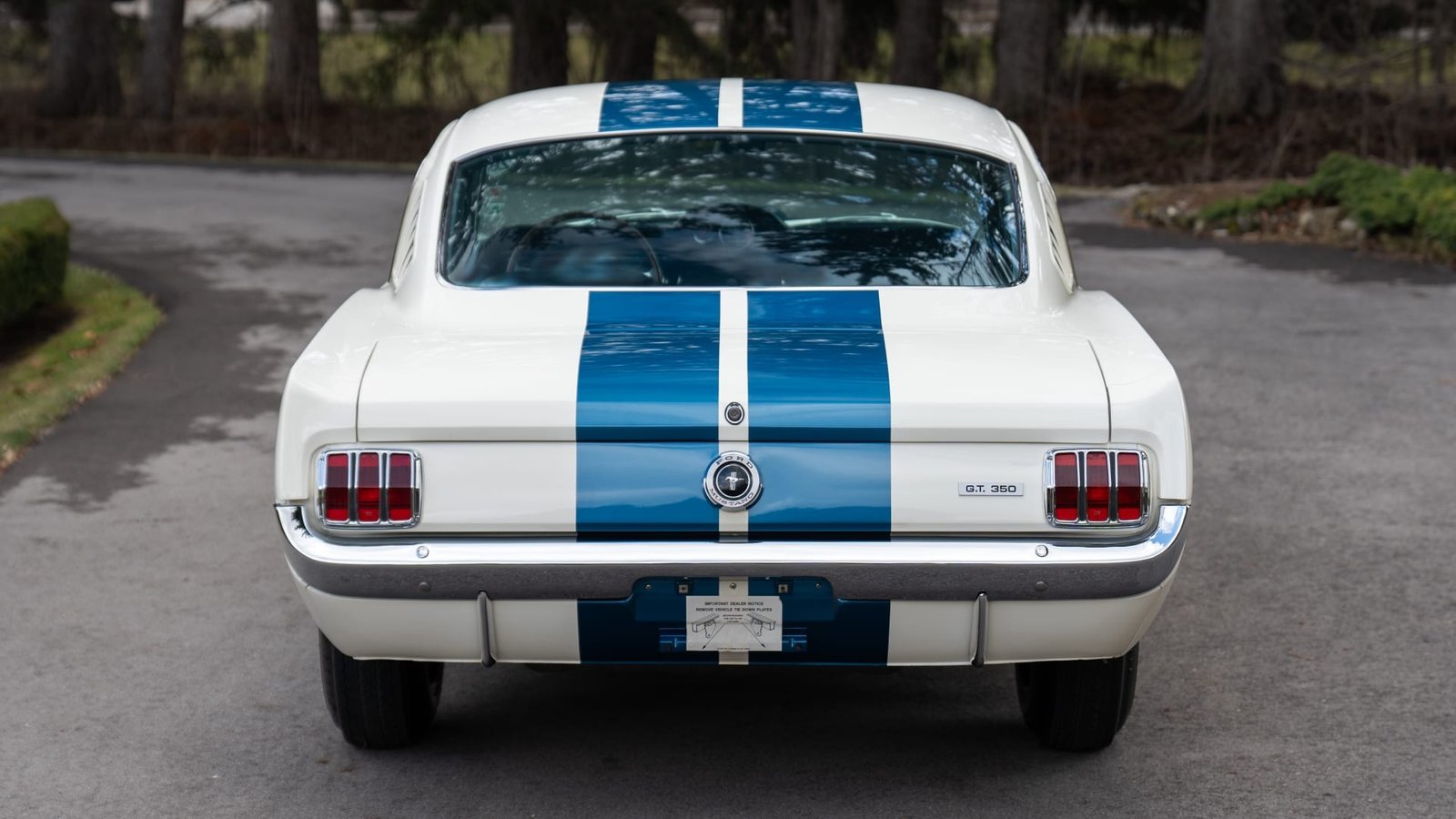 1965 Shelby GT350 Fastback For Sale (6)