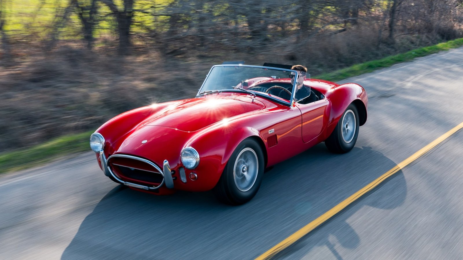 1966 Shelby 427 Cobra Roadster For Sale (9)
