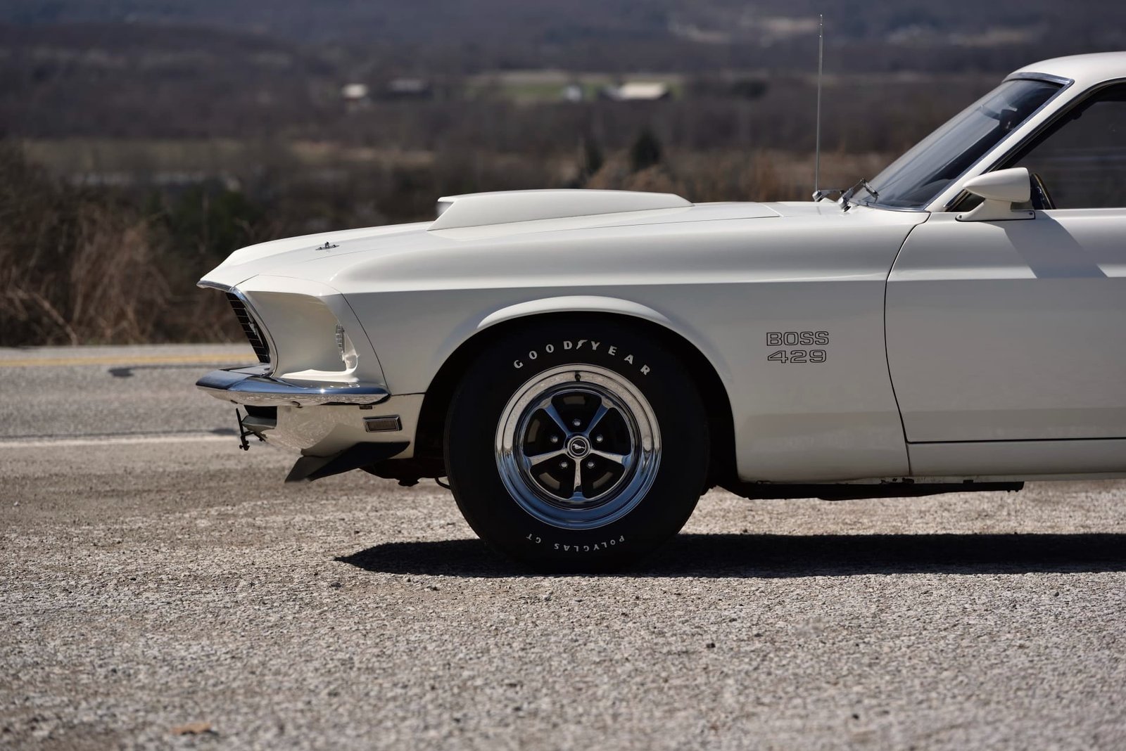 1969 Ford Mustang Boss 429 Fastback (19)