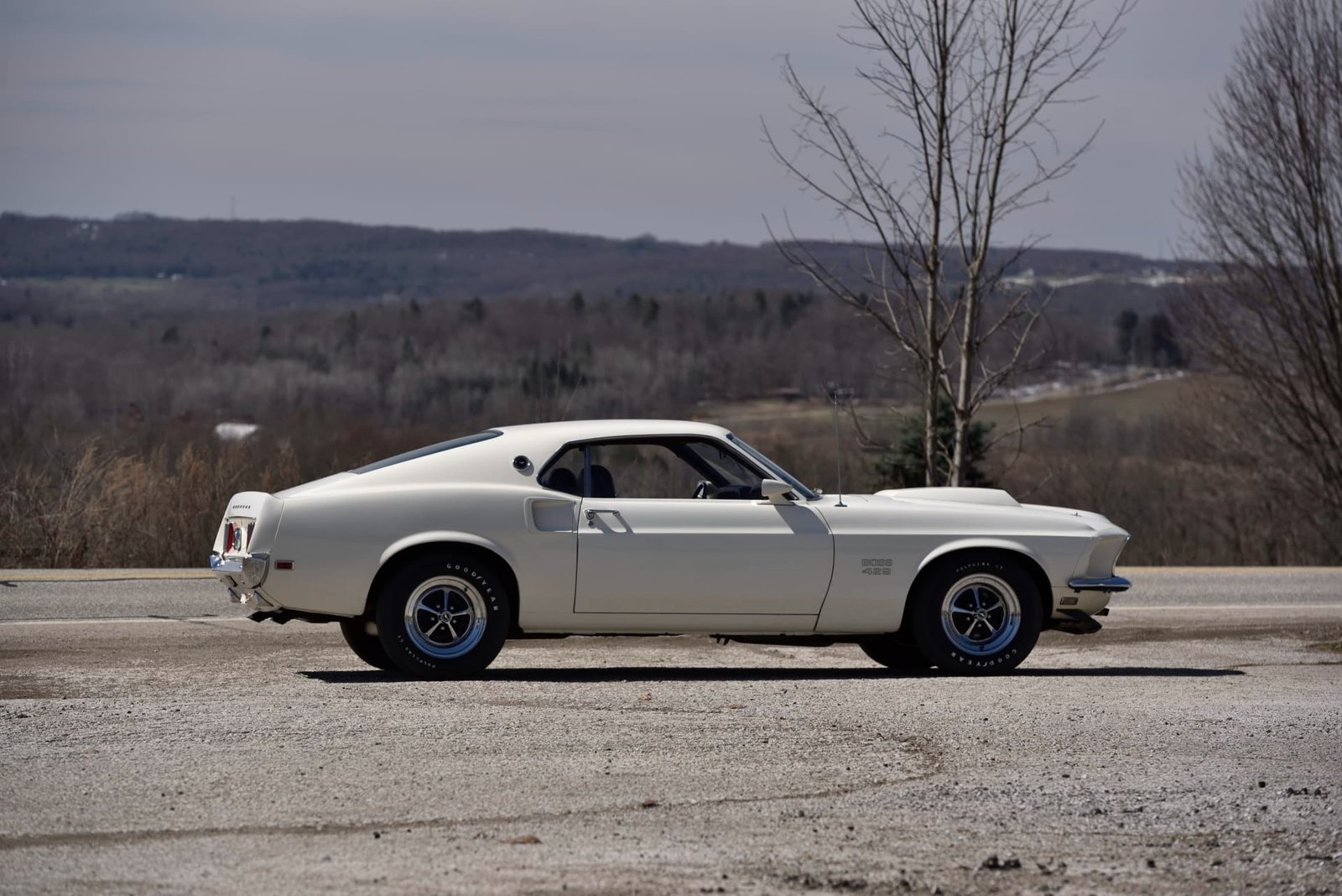 1969 Ford Mustang Boss 429 Fastback (25)