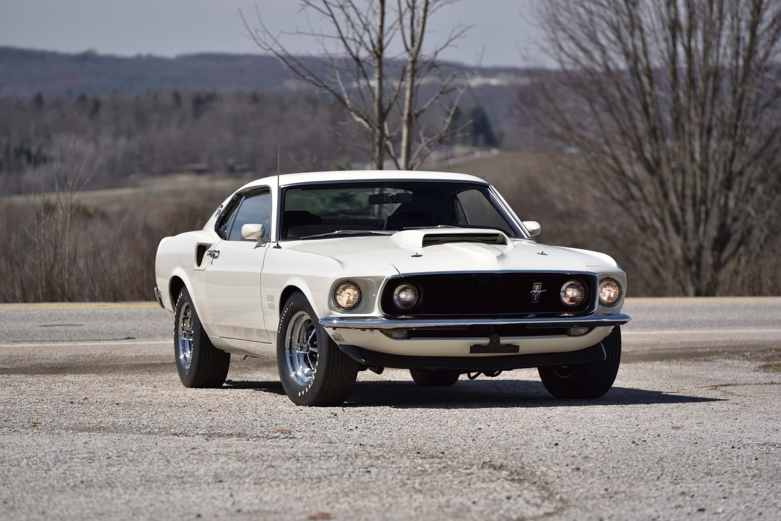 1969 Ford Mustang Boss 429 Fastback (32)