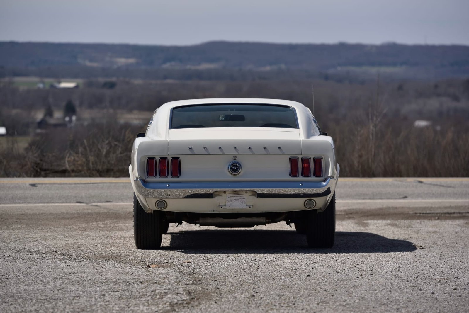 1969 Ford Mustang Boss 429 Fastback (34)