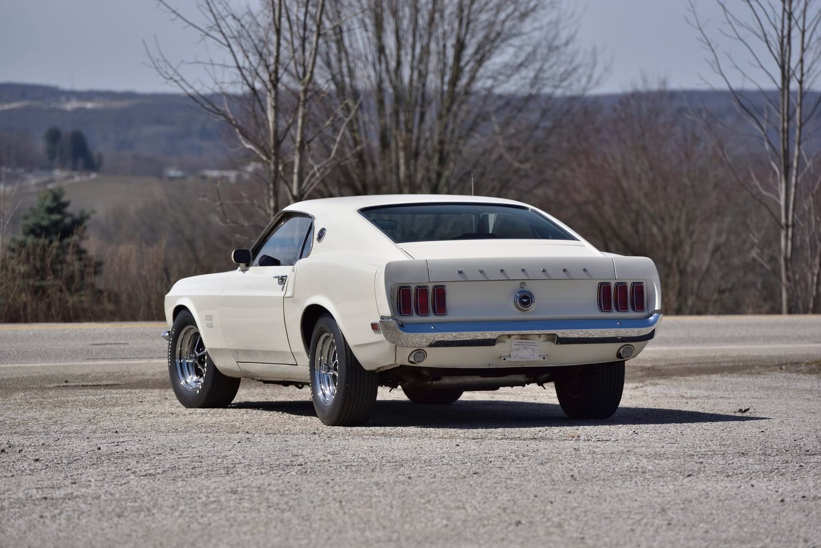 1969 Ford Mustang Boss 429 Fastback (36)