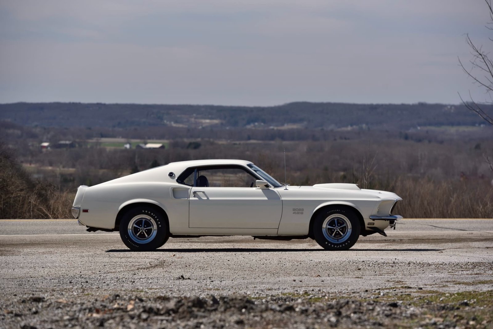 1969 Ford Mustang Boss 429 Fastback (37)