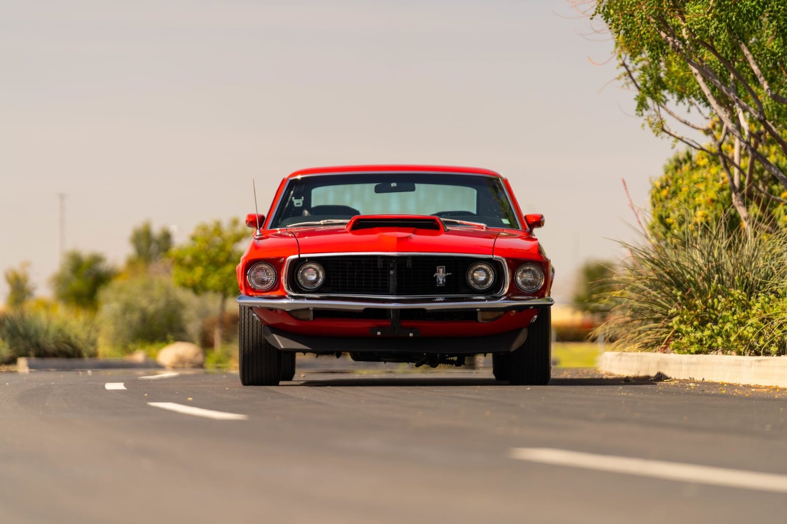 1969 Ford Mustang Boss 429 For Sale (6)