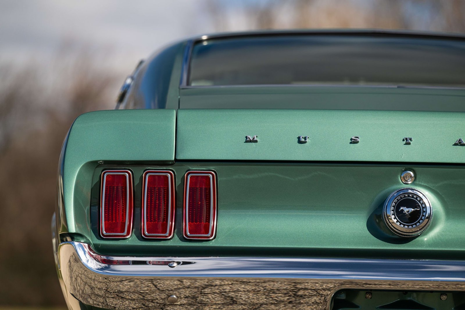 1969 Ford Mustang E Fastback For Sale (36)