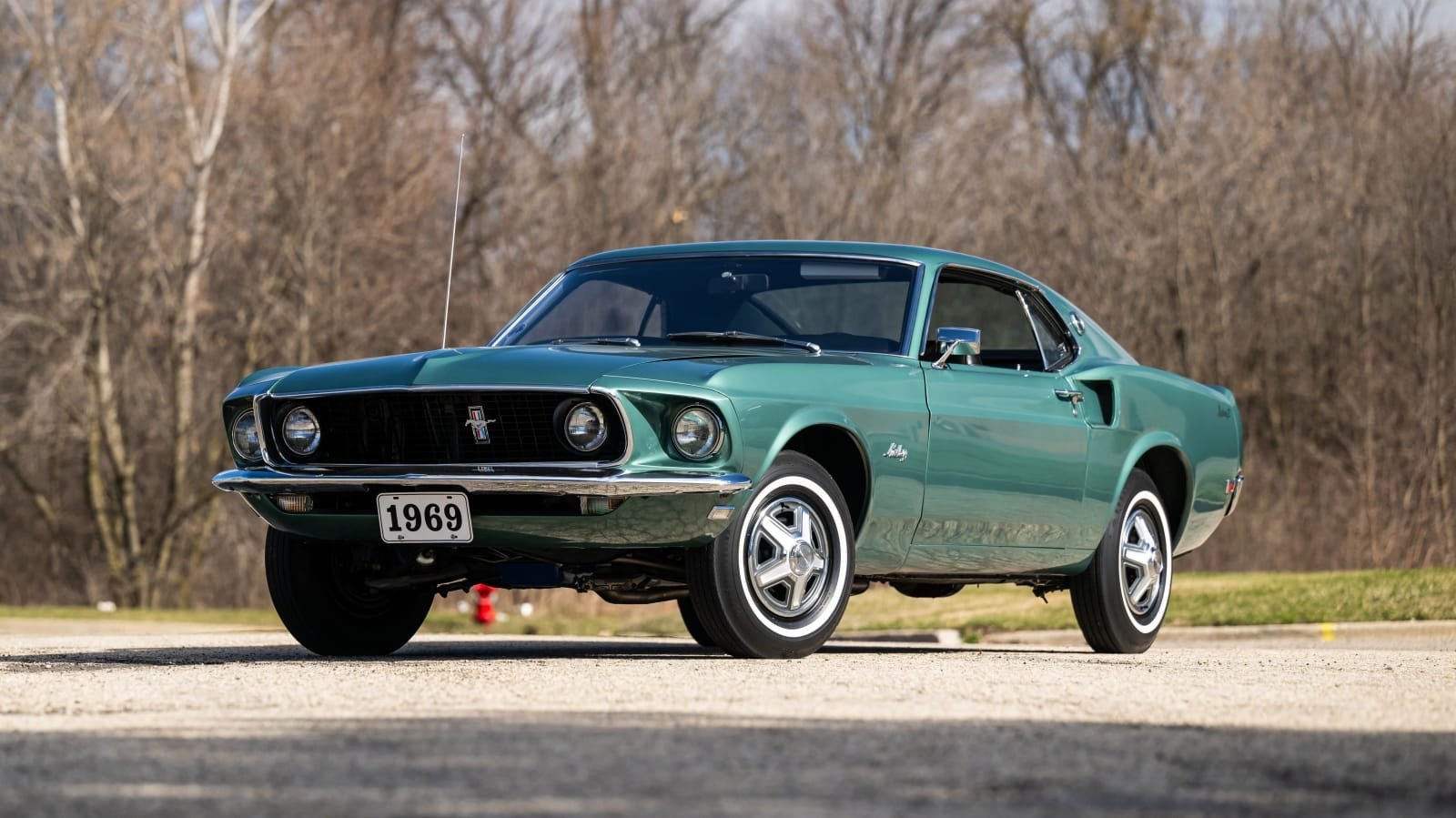 1969 Ford Mustang E Fastback For Sale