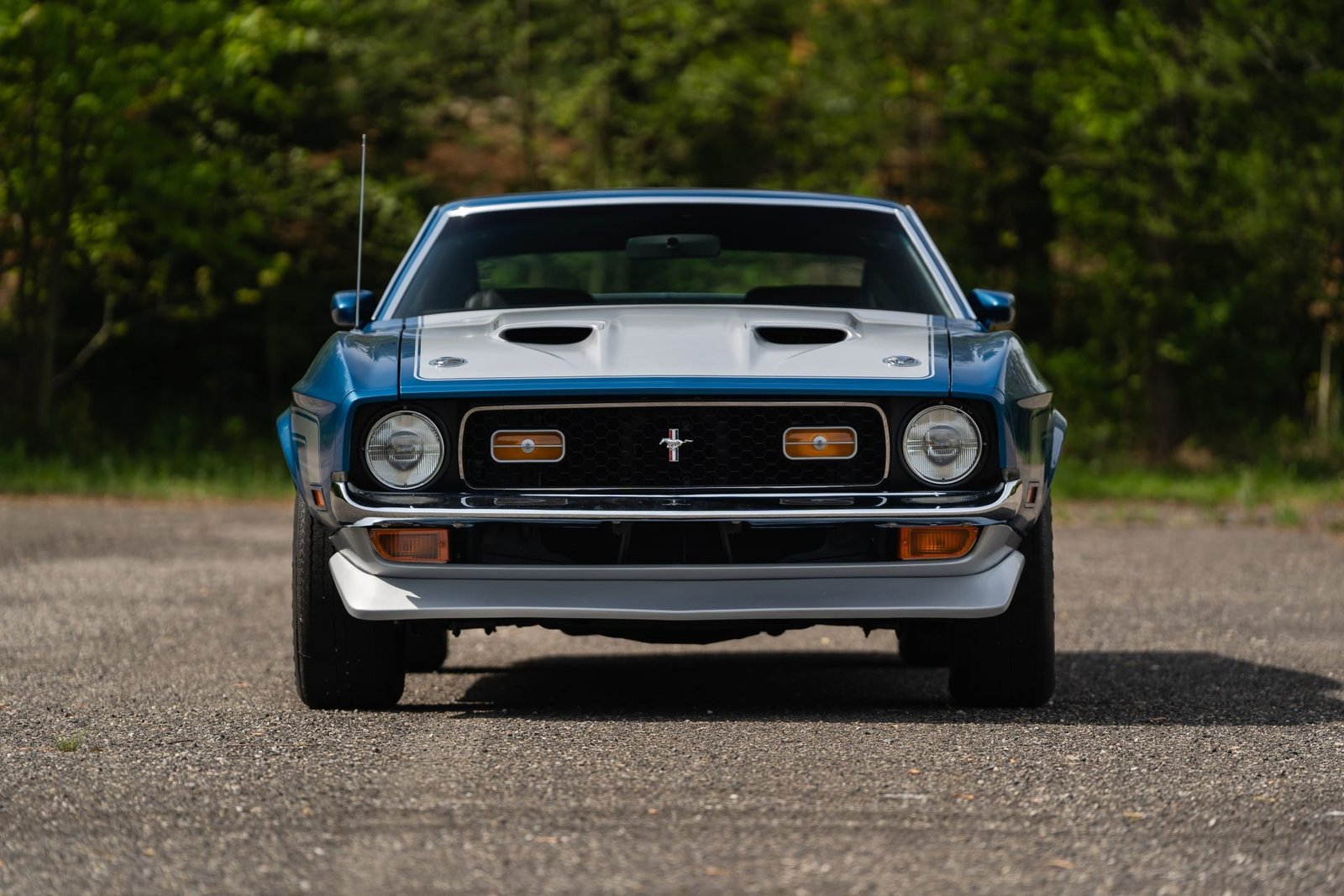 1971 Ford Mustang Boss 351 Fastback (33)