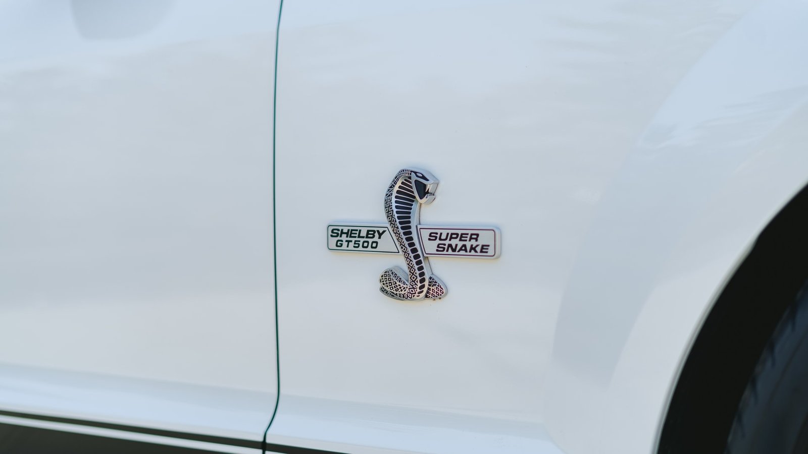 2007 Ford Shelby GT500 Super Snake (18)