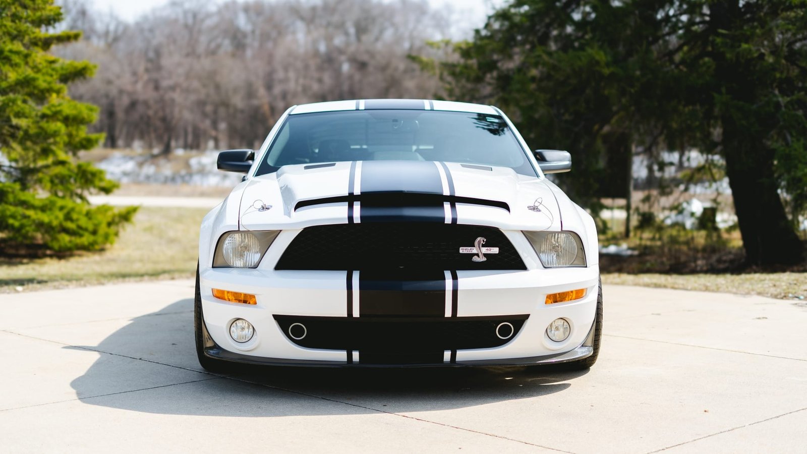 2007 Ford Shelby GT500 Super Snake (25)