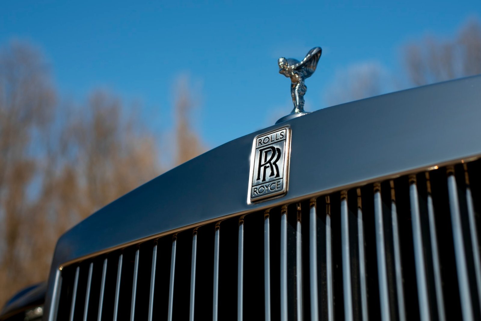 2010 Rolls-Royce Phantom For Sale (19)