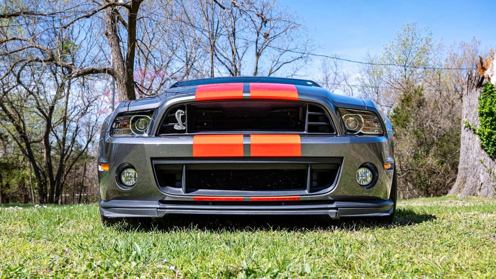 2013 Ford Shelby GT500 For Sale (17)