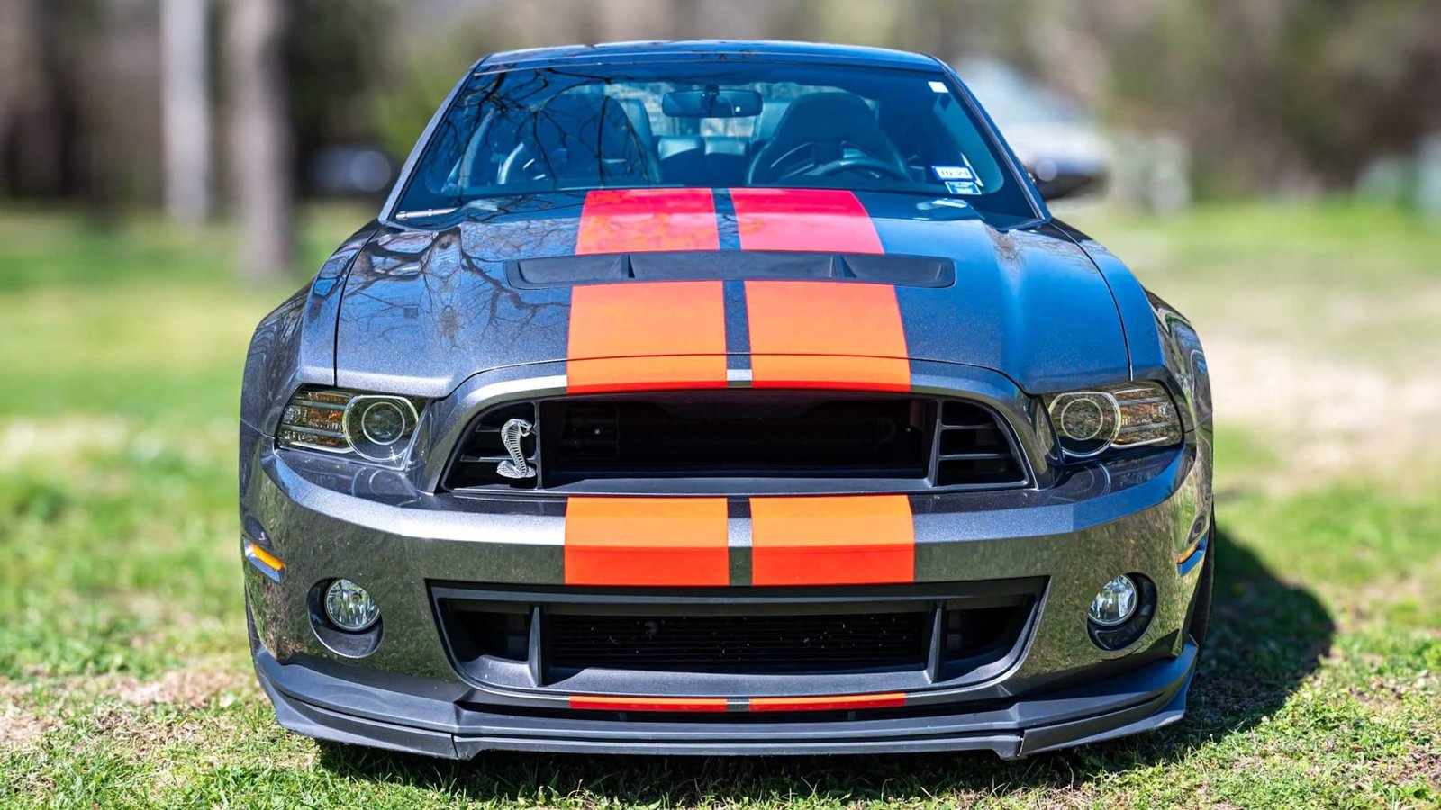 2013 Ford Shelby GT500 For Sale (19)