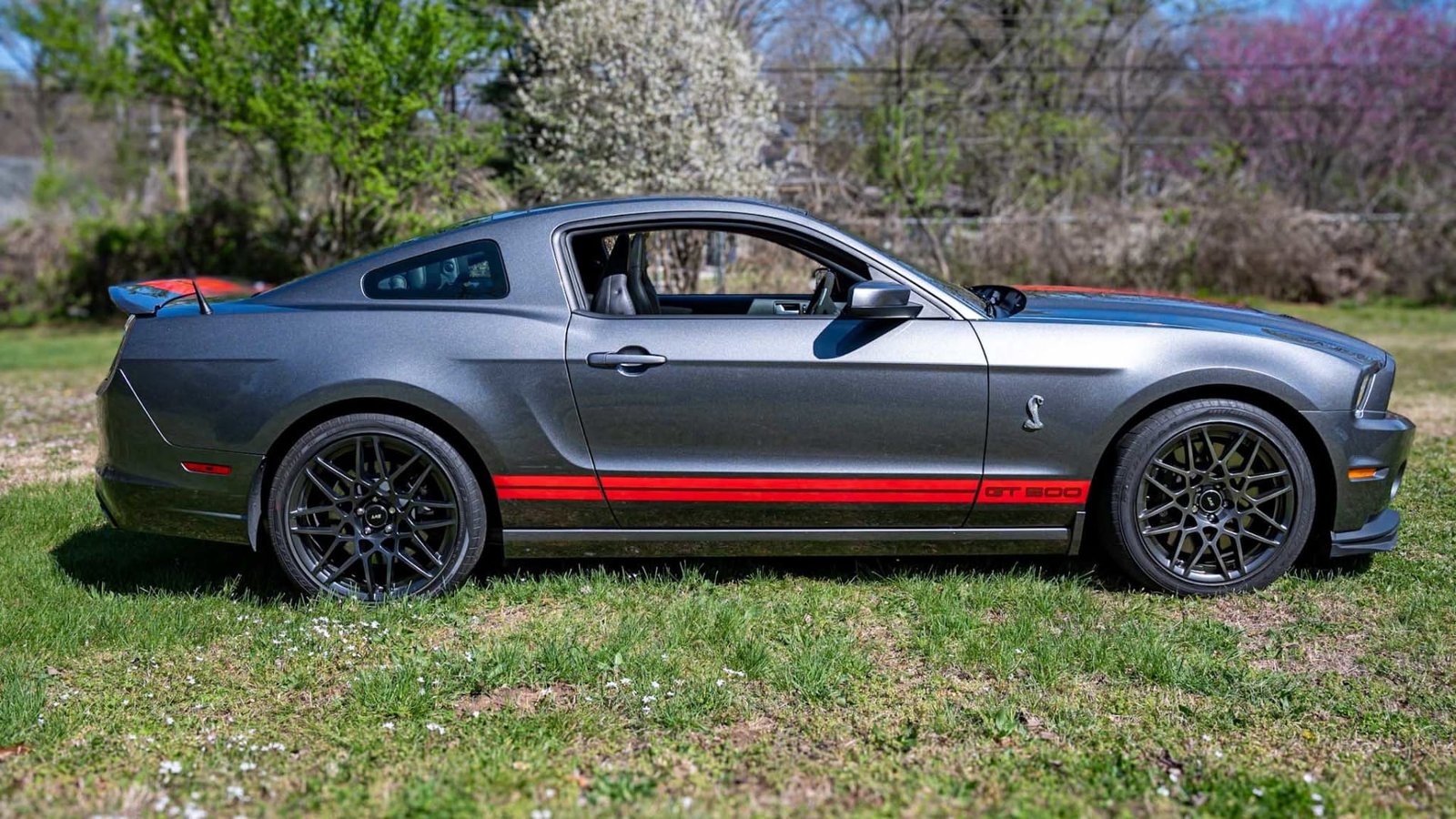 2013 Ford Shelby GT500 For Sale (20)