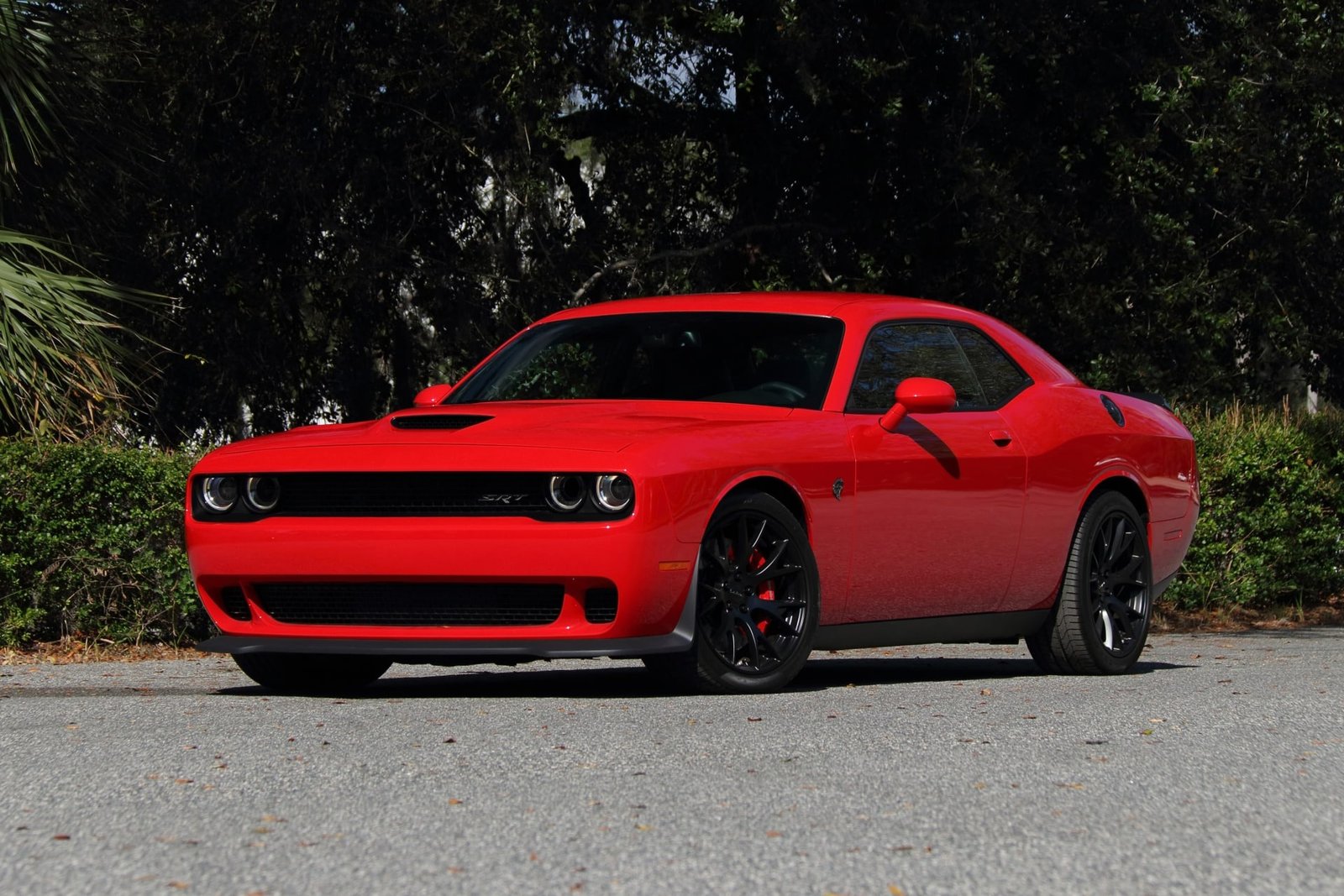 2015 Dodge Challenger SRT Hellcat For Sale (19)