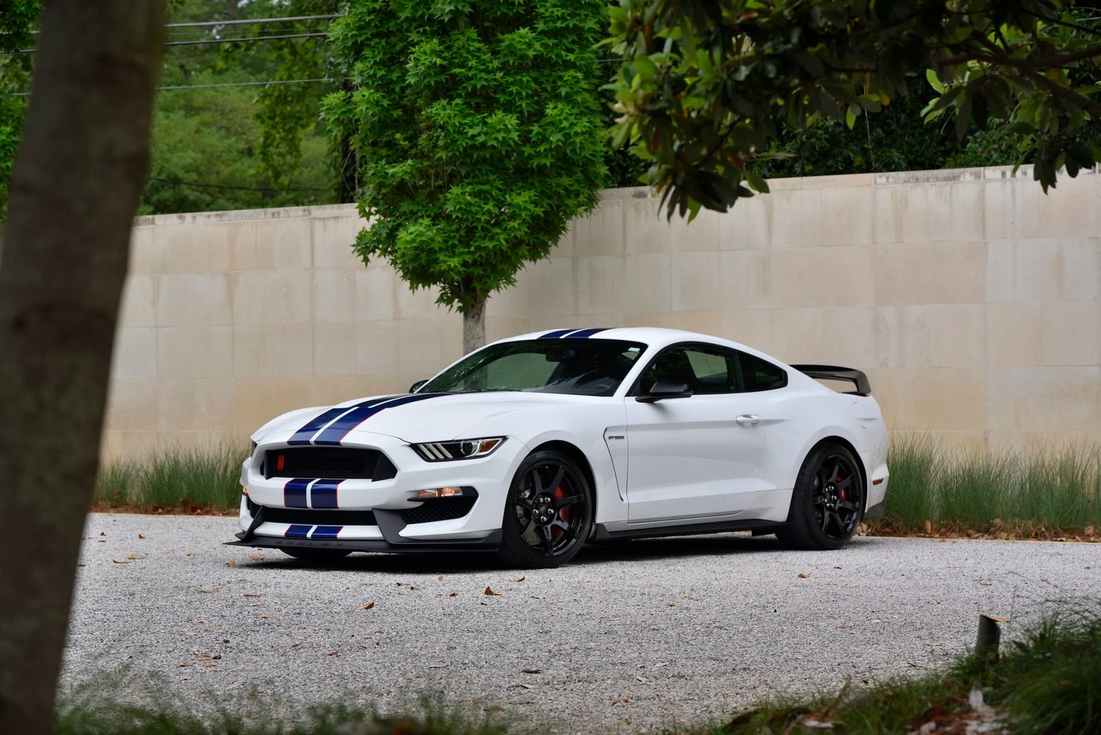 2015 Ford Shelby GT350R For Sale