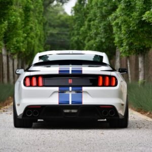 2015 Ford Shelby GT350R For Sale