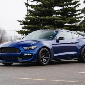 Ford Shelby GT350R For Sale
