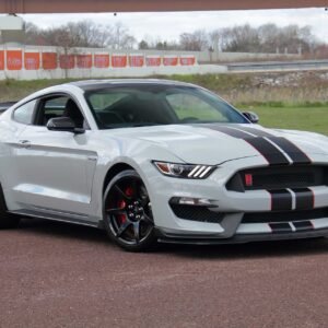 2016 Ford Shelby GT350R For Sale