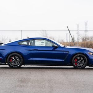 2016 Ford Shelby GT350R For Sale