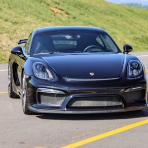 2016 Porsche Cayman GT4 For Sale