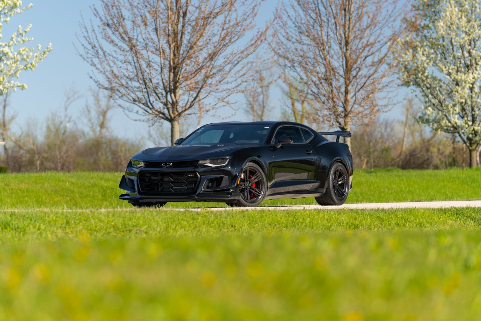 2018 Chevrolet Camaro ZL1 For Sale (2)