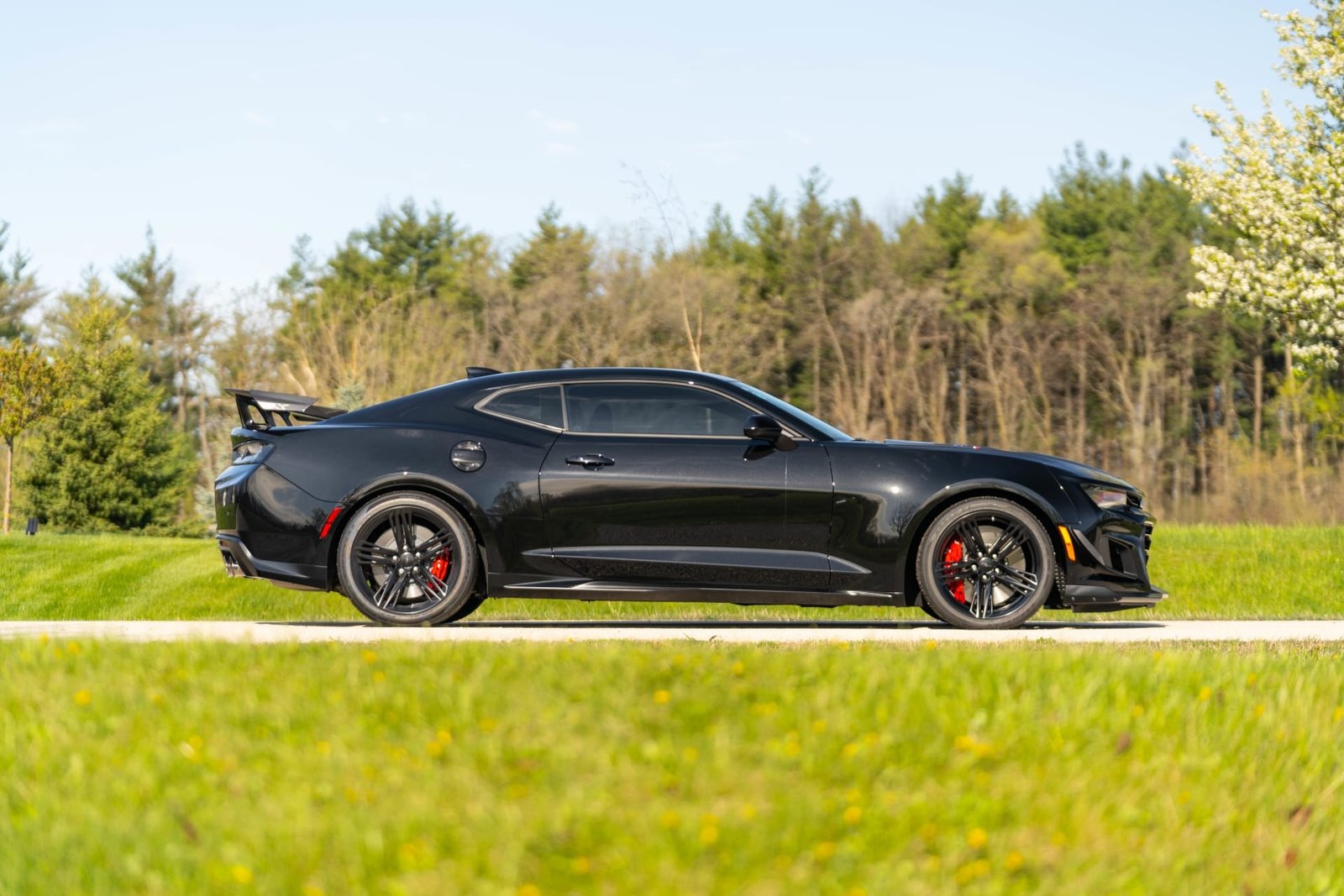 2018 Chevrolet Camaro ZL1 For Sale (21)