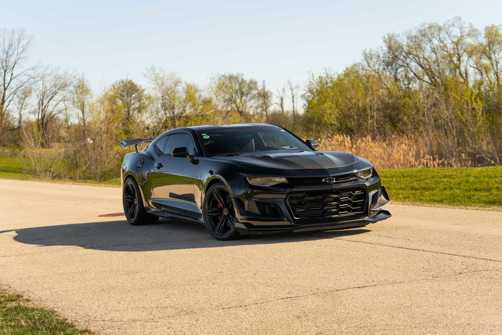 2018 Chevrolet Camaro ZL1 For Sale (22)