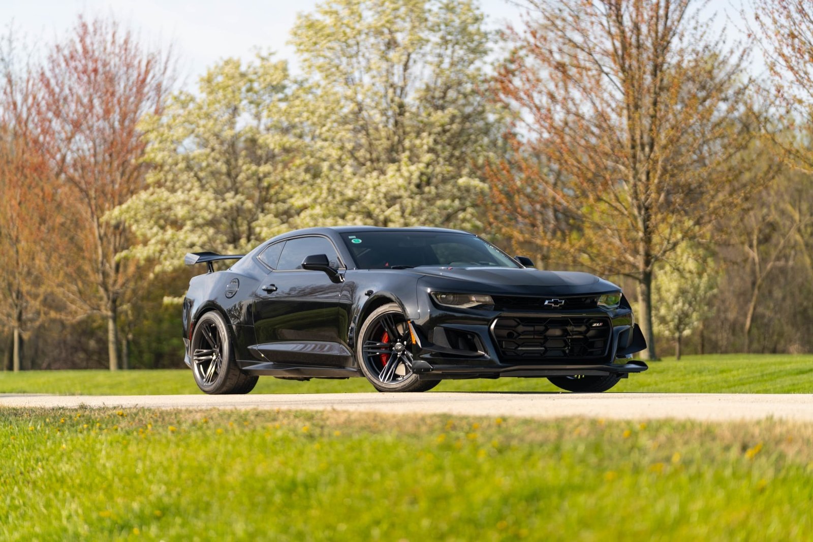 2018 Chevrolet Camaro ZL1 For Sale (30)