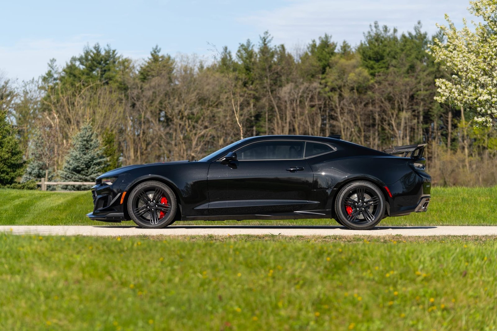 2018 Chevrolet Camaro ZL1 For Sale (9)