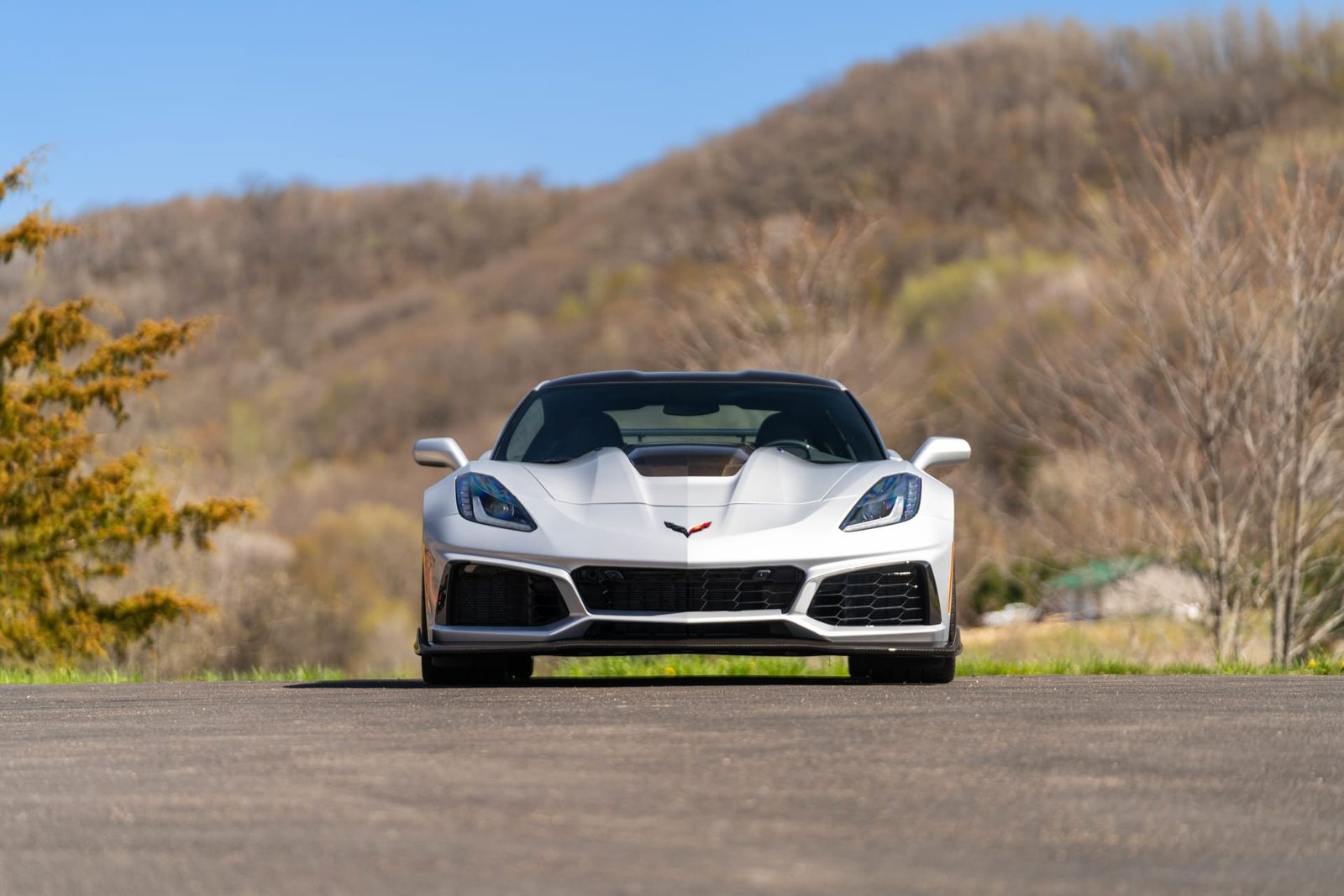 2019 Chevrolet Corvette ZR1 Coupe For Sale (9)