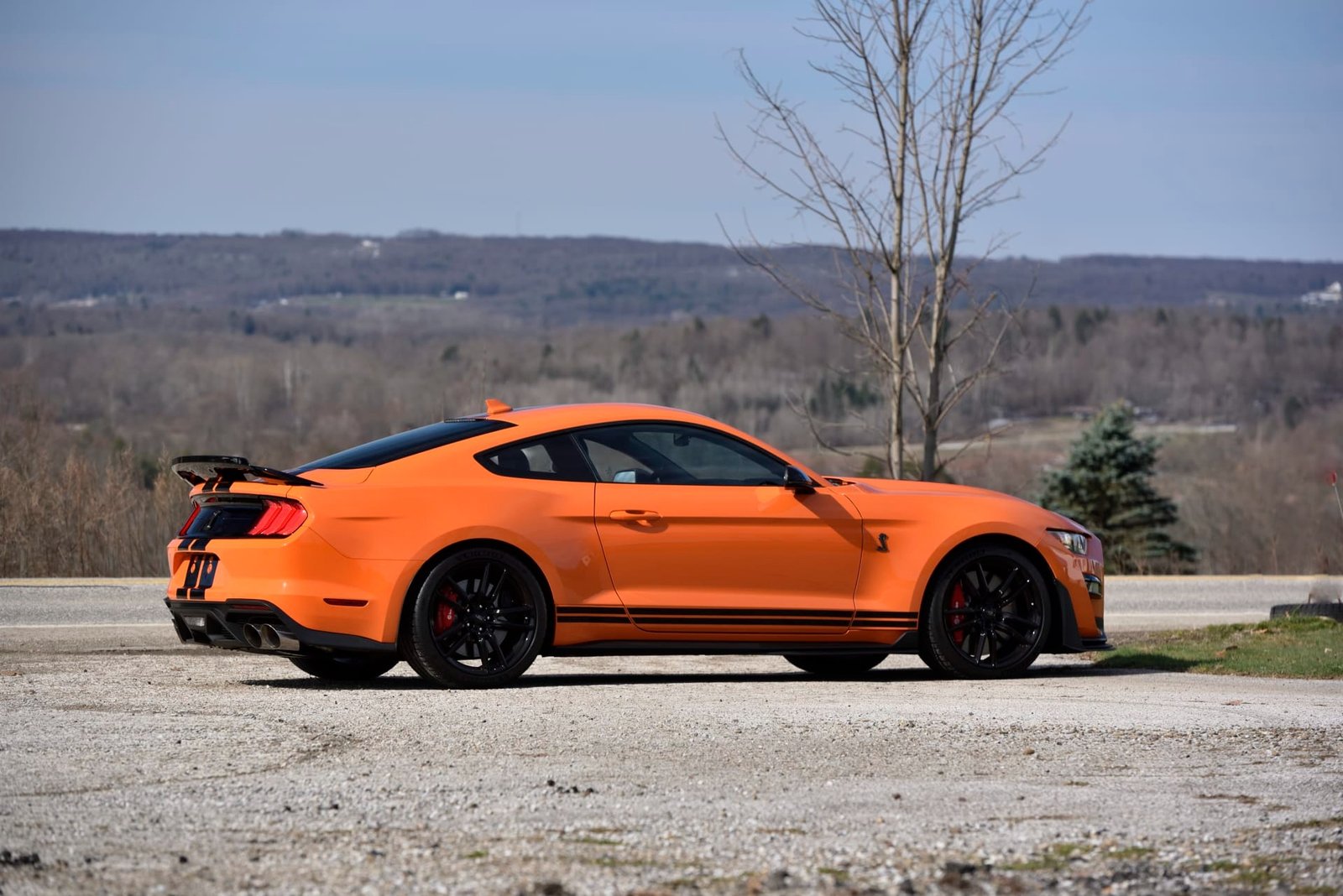 2021 Ford Shelby GT500 For Sale (26)