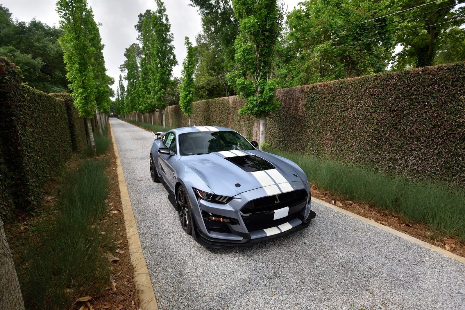 2022 Ford Shelby GT500 Heritage Edition (17)