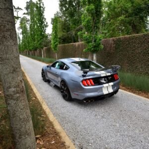 2022 Ford Shelby GT500 Heritage Edition