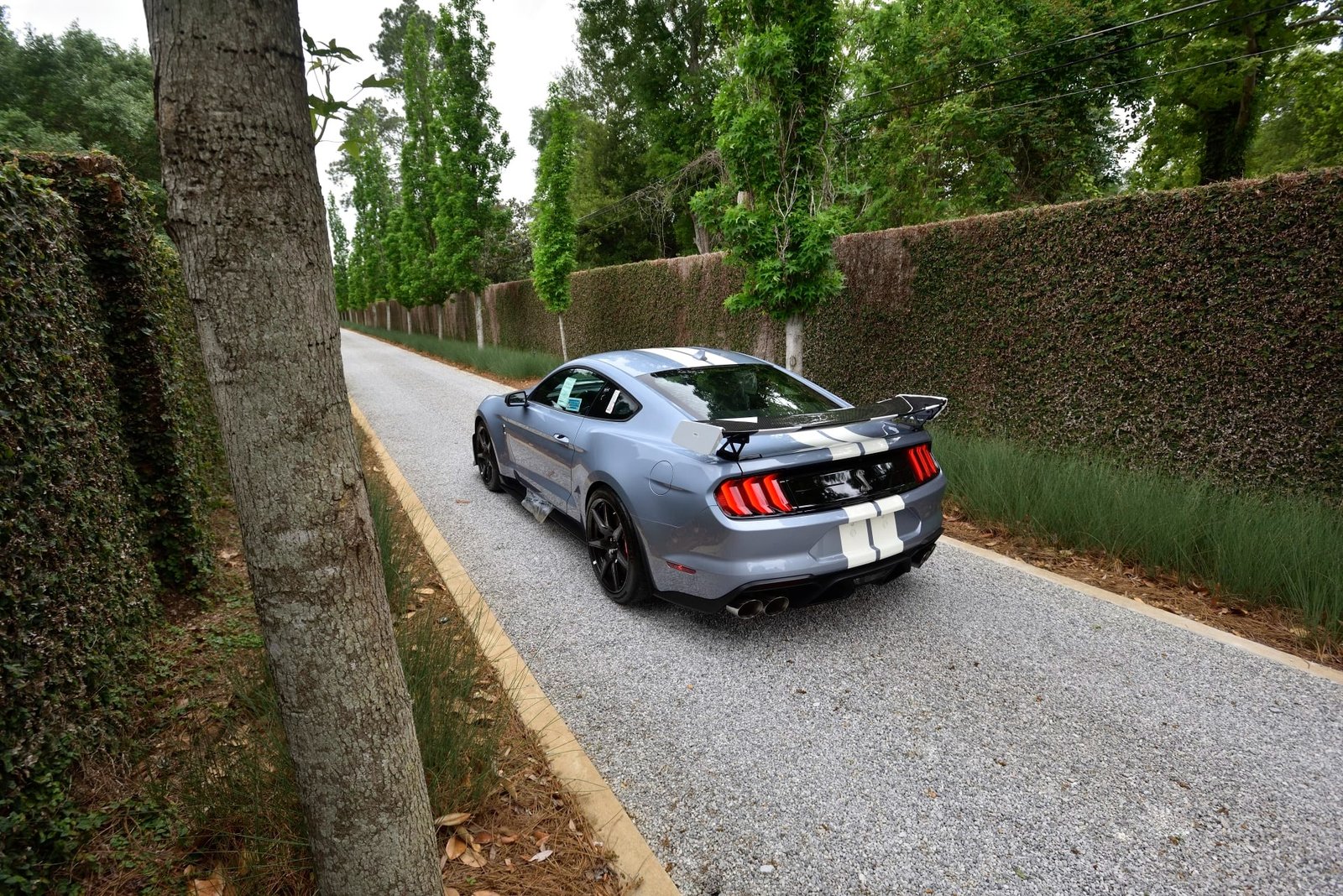 2022 Ford Shelby GT500 Heritage Edition (37)