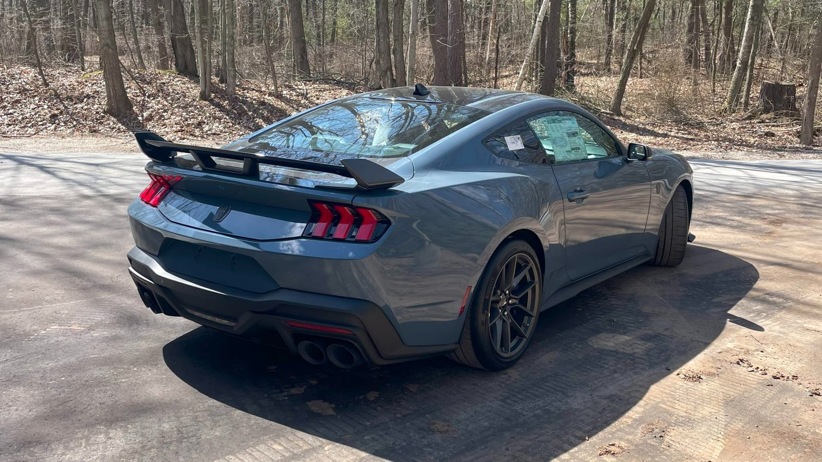 2024 Ford Mustang Dark Horse Premium Coupe (17)